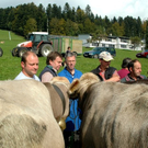 DSC_0075.jpg