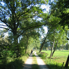 IMG_7537.JPG