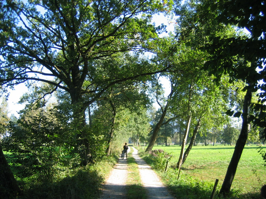IMG_7537.JPG