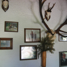 IMG_7523.JPG