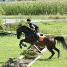 DSC01618.JPG