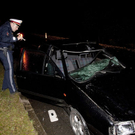 Pkw crasht gegen Kuh: Totalschaden