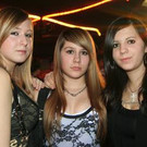 Party in der blauen Sau