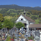 _DSC03500002_1.JPG