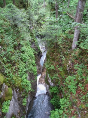 HS H__rbranz 2c  LW Raggal 2009 _24_.jpg