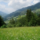 HS H__rbranz 2c Walserstolz 03-06-2009 _9_.jpg