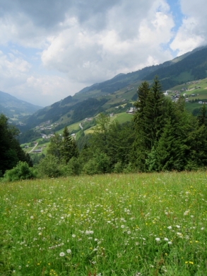 HS H__rbranz 2c Walserstolz 03-06-2009 _9_.jpg