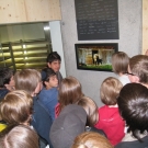 HS H__rbranz 2c Walserstolz 03-06-2009 _14_.jpg