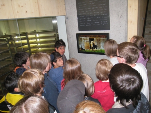 HS H__rbranz 2c Walserstolz 03-06-2009 _14_.jpg