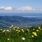 Bergtour Kamor