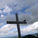 P1010040.jpg