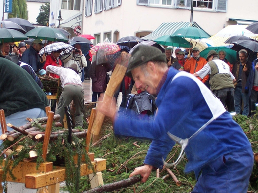 buschler1.JPG
