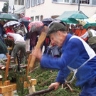 Buschelbewerb