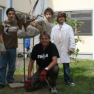 Kleine Steinvogelkunde an der HS-Ost