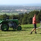 Gallier im Gelände 2008