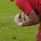 2822297.jpg