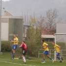 2903494.jpg