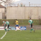 2903496.jpg