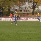 2903497.jpg