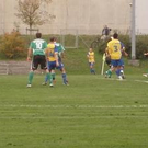 2903503.jpg
