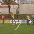 2903513.jpg