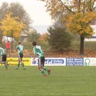 2903523.jpg
