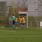 2903526.jpg