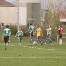 2903527.jpg