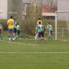 2903528.jpg