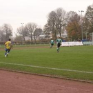 2903537.jpg