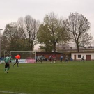 2903538.jpg