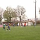 2903539.jpg
