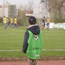 2903542.jpg