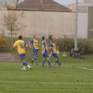 2903544.jpg