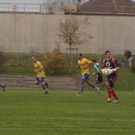 2903545.jpg