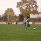 2903546.jpg