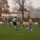 2903547.jpg