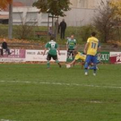 2903552.jpg