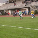2903557.jpg