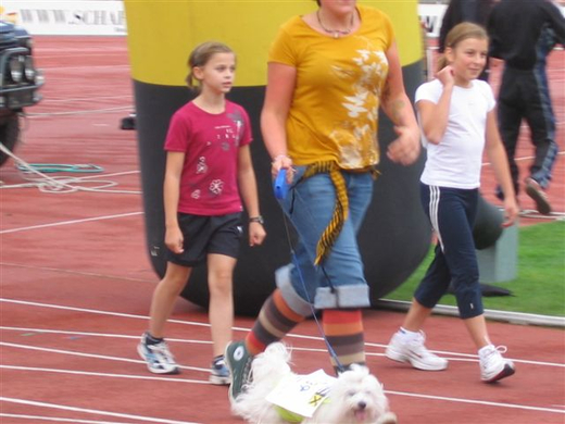 IMG_8447.JPG