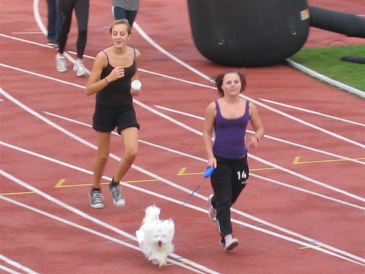 IMG_8374.JPG