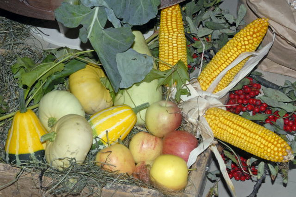 _DSC03180002_1.JPG