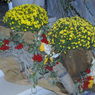 _DSC03370006_1.JPG