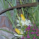 _DSC03450007_1.JPG