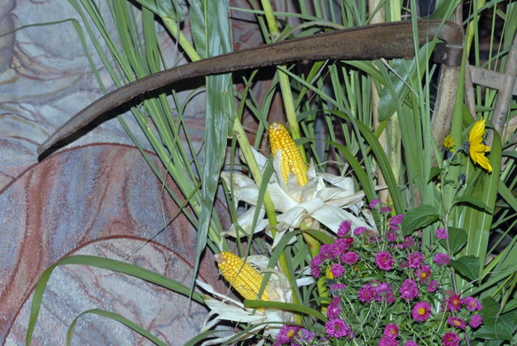 _DSC03450007_1.JPG
