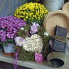 _DSC03550010_1.JPG