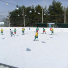 3215793.jpg