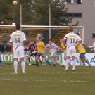 3255475.jpg