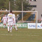 3255477.jpg