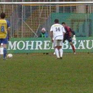 3255519.jpg